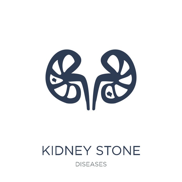 Kidney stone disease icon. Trendy flat vector Kidney stone disea