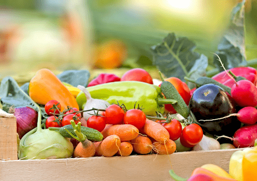 best-food-for-lipoma